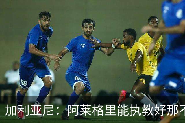 加利亚尼：阿莱格里能执教好那不勒斯，他会根据队内球员制定战术