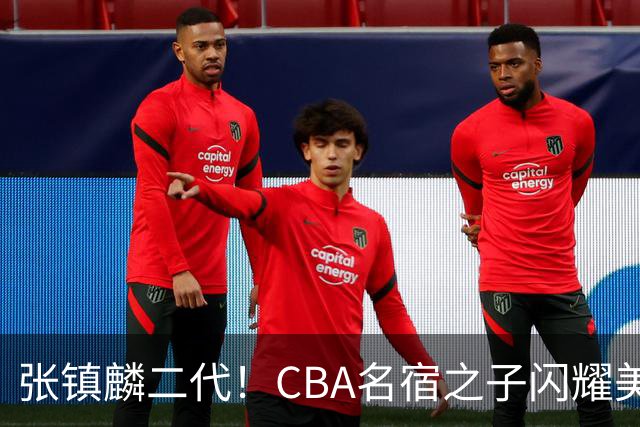 张镇麟二代！CBA名宿之子闪耀美高，收7份NCAA邀约，成男篮新希望