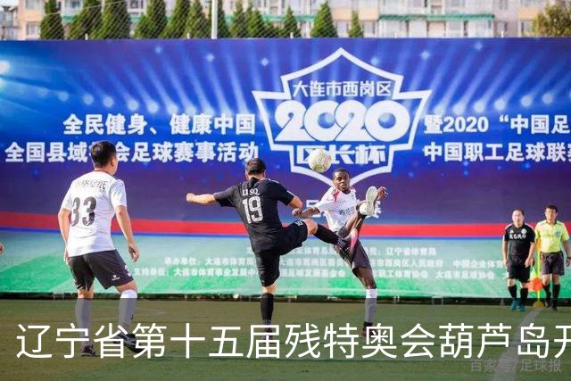辽宁省第十五届残特奥会葫芦岛开赛 356名健儿参与角逐